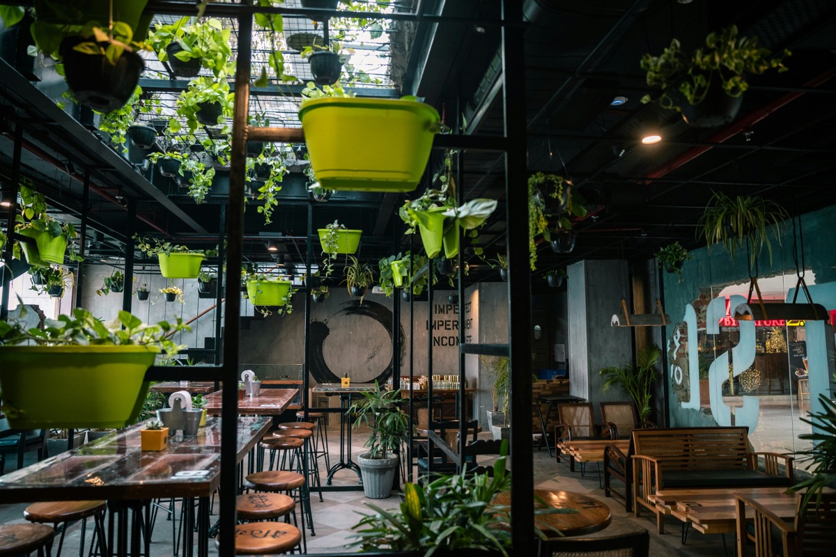 Vibrant coworking cafe with plants and natural light