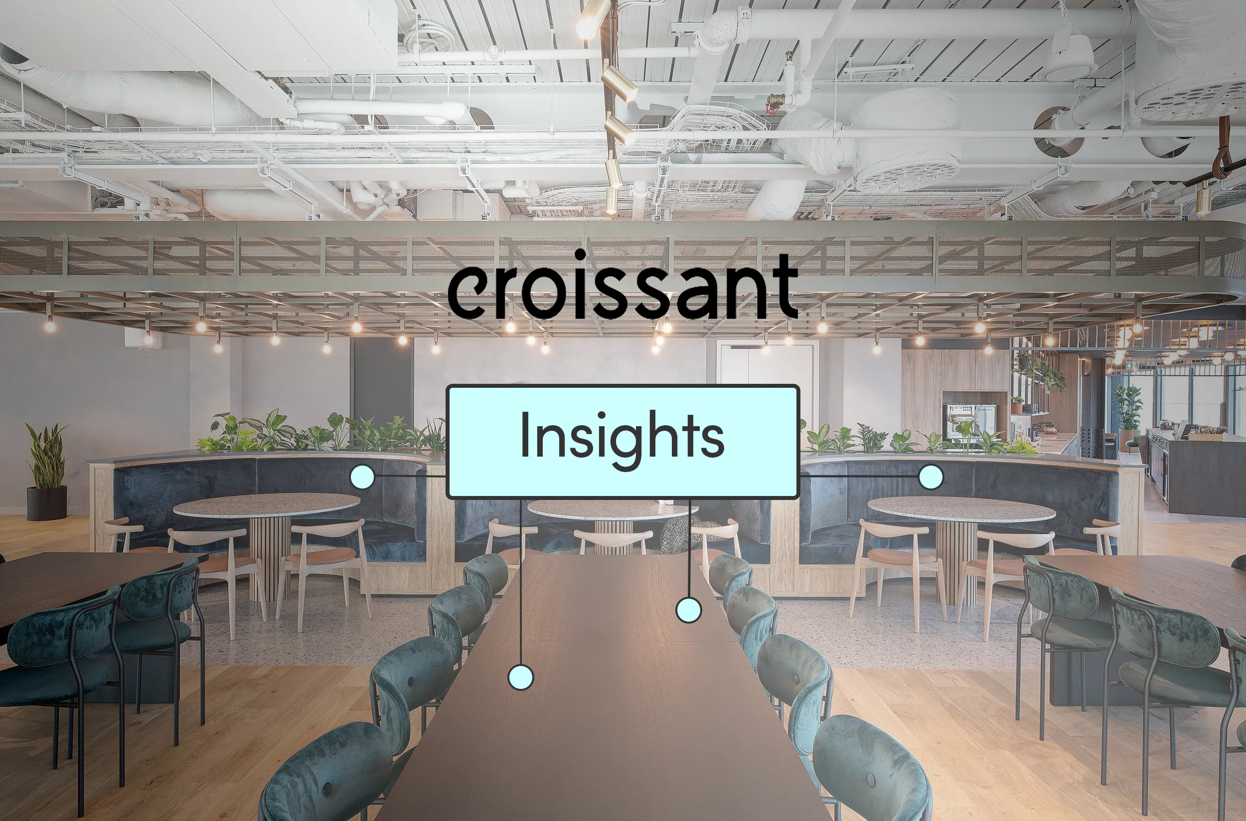 Team Insights on Croissant: Visibility Into Your Workspace Program