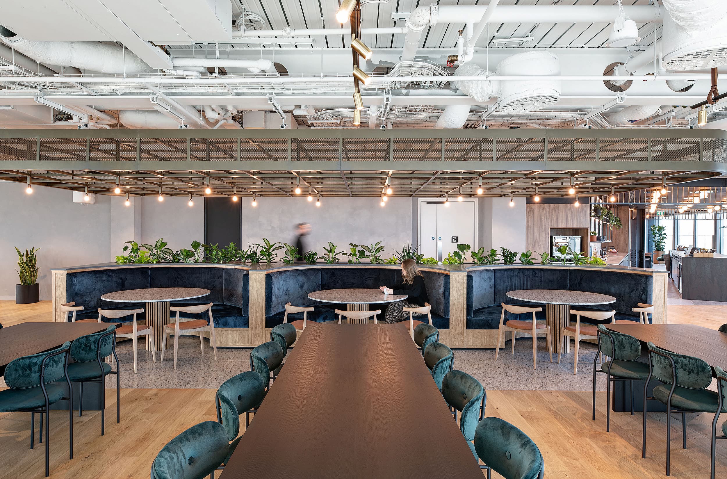 Team Insights dashboard overview