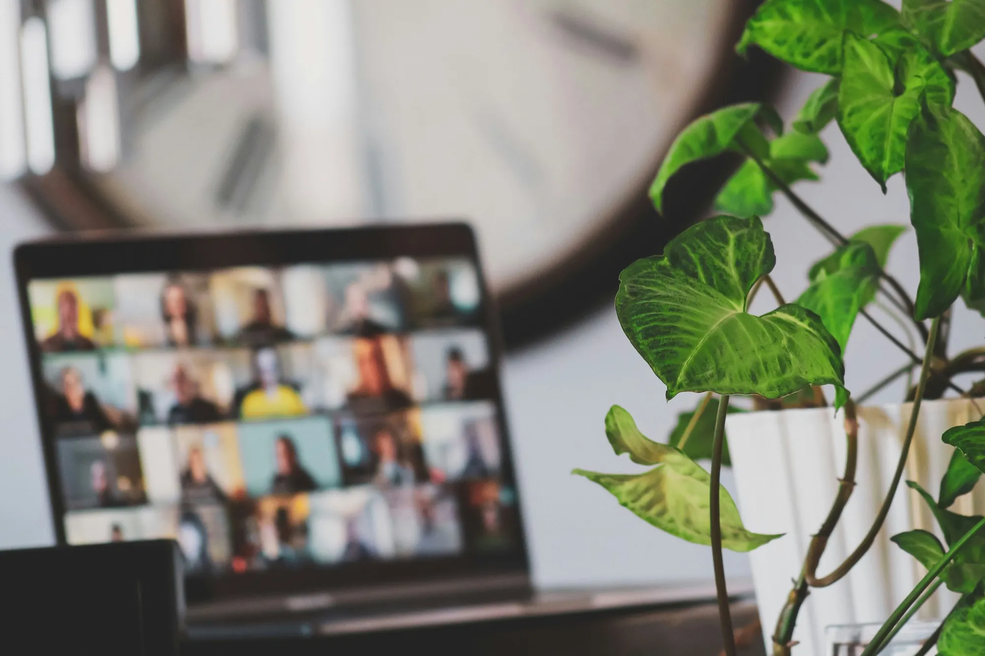 Peaceful workspace with plant