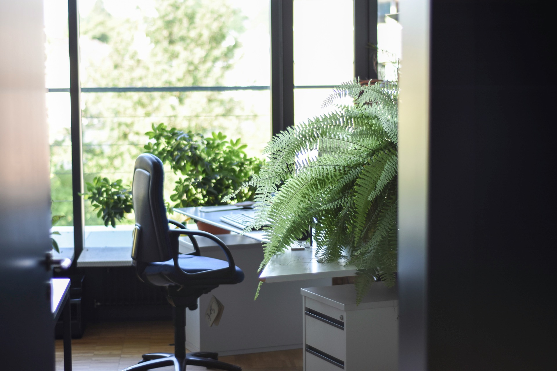 Flexible workspace with on-demand desks supporting distributed teams