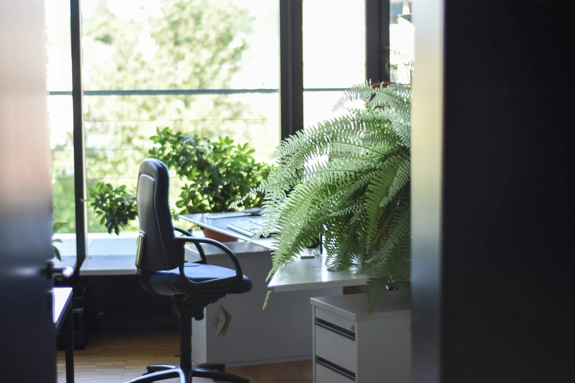 Flexible workspace with on-demand desks supporting distributed teams